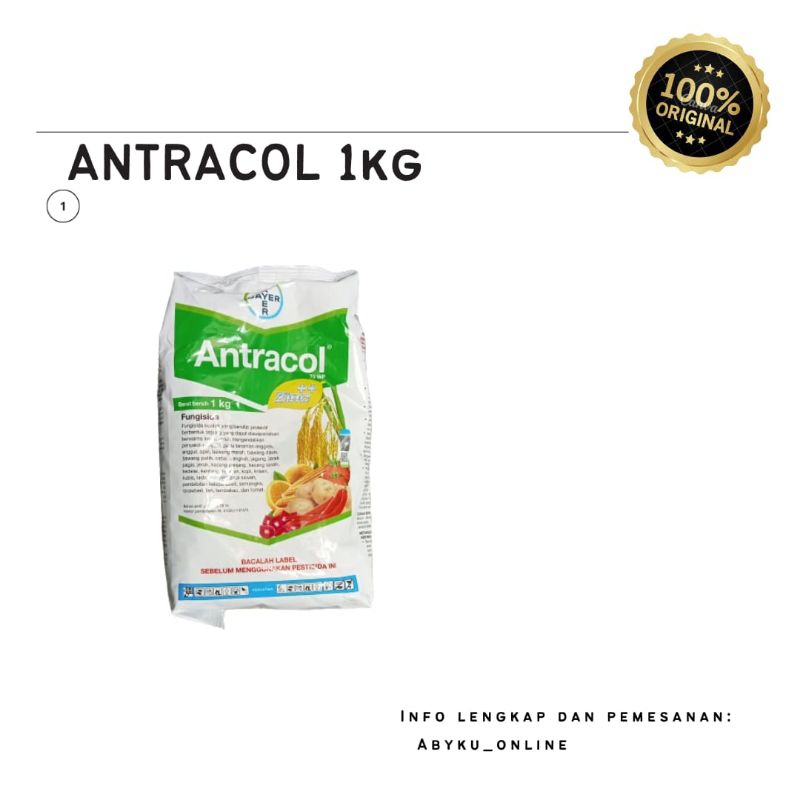 ANTRACOL 70WP 1KG