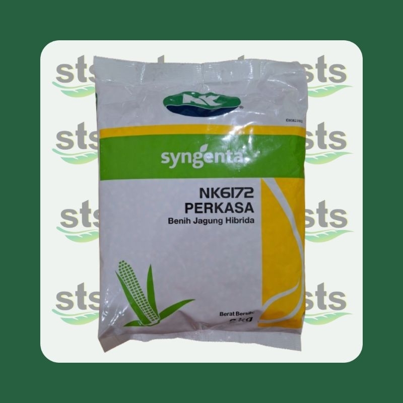 Benih Jagung NK6172 Perkasa @2kg