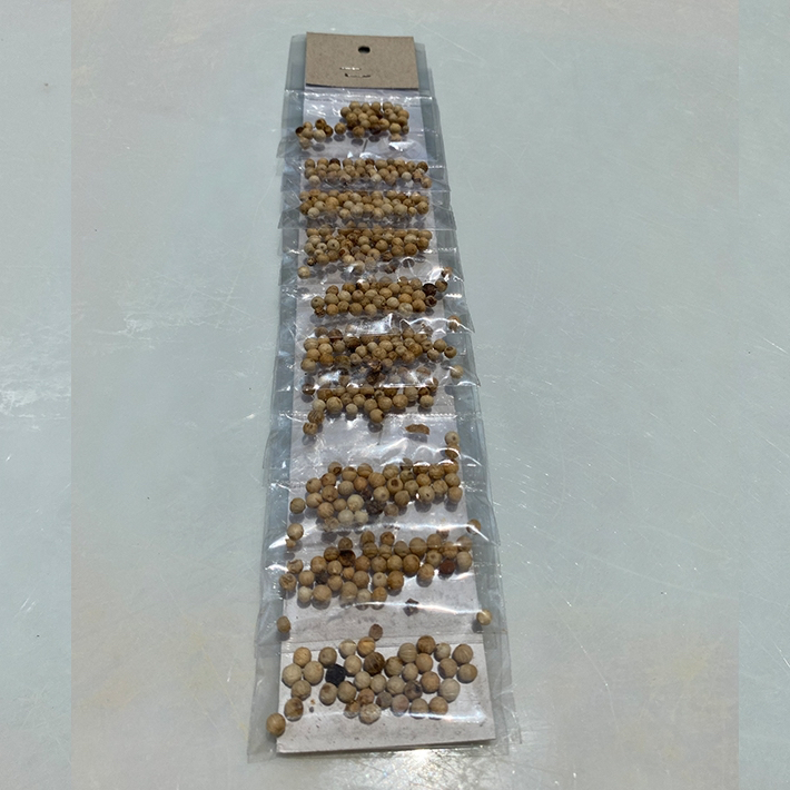 

Lada Putih kemasan sachet