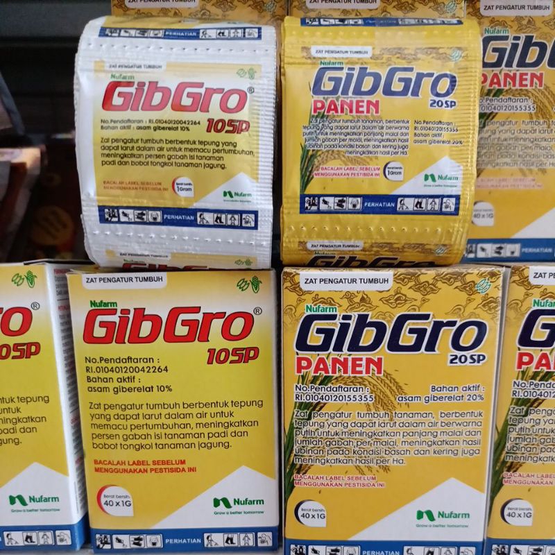 gibgroPanen/Pertumbuhan/ZPT