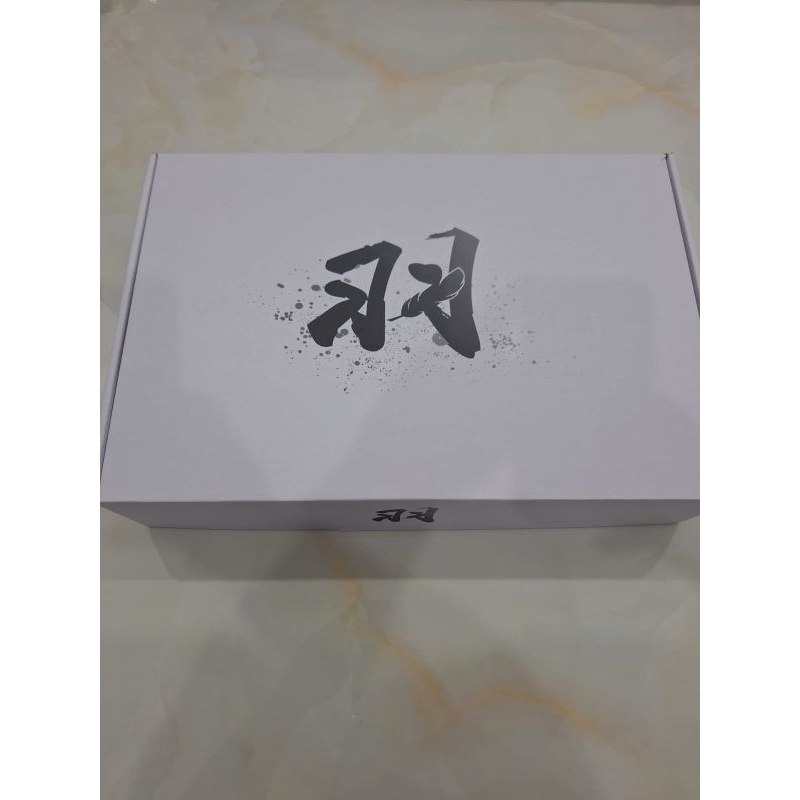 Gundam Wing HIRM MG 1/100