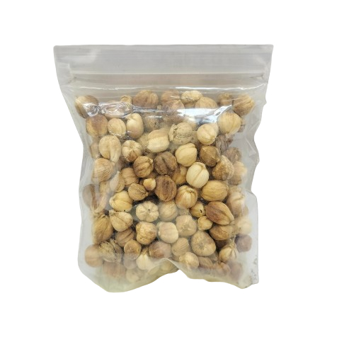 

Kapulaga Putih Alami