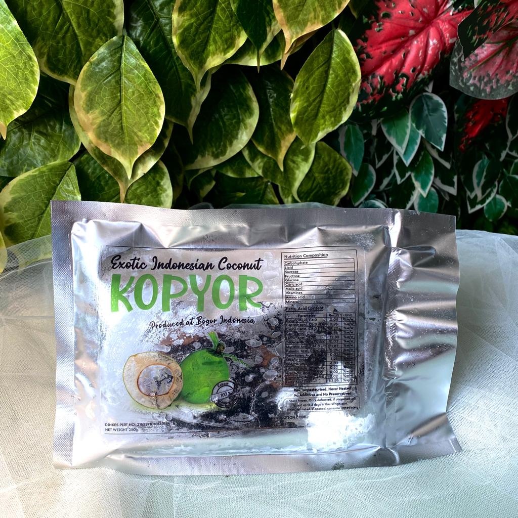 Kopyor Frozen - Daging Kelapa Instant - 250gr