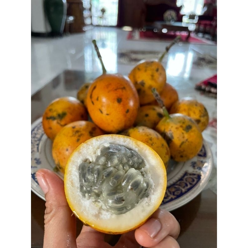 

buah konyal fresh 500gr stok terbatas