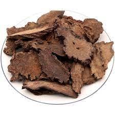 

Jin Suo Yang 金鎖阳 Cynomorium Songaricum Grade Super 50 Gr