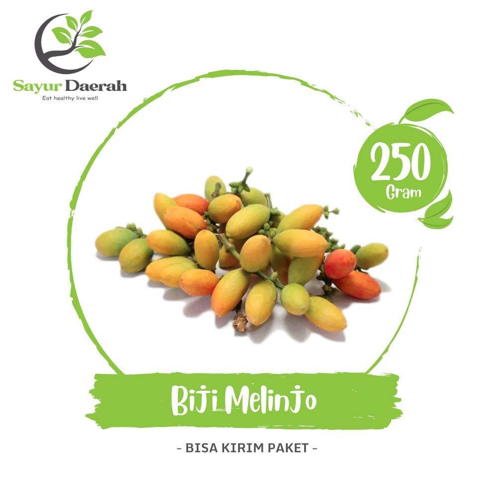 

Biji Melinjo Premium 250 Gr | Sayur Daerah