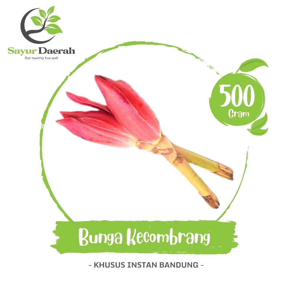 

Bunga Kecombrang 500 Gr | Sayur Daerah