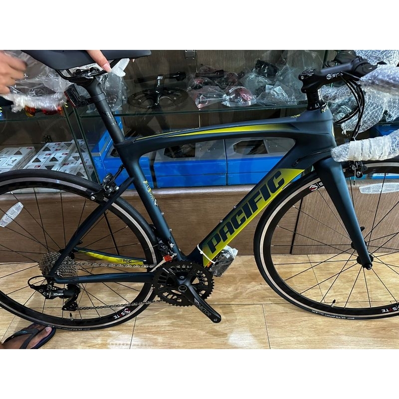 Sepeda Roadbike Pacific Primum 5.3