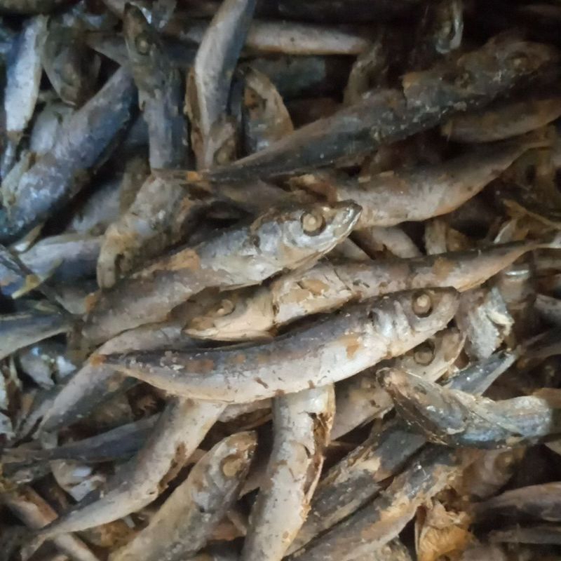 

rebusan layang per 1kg