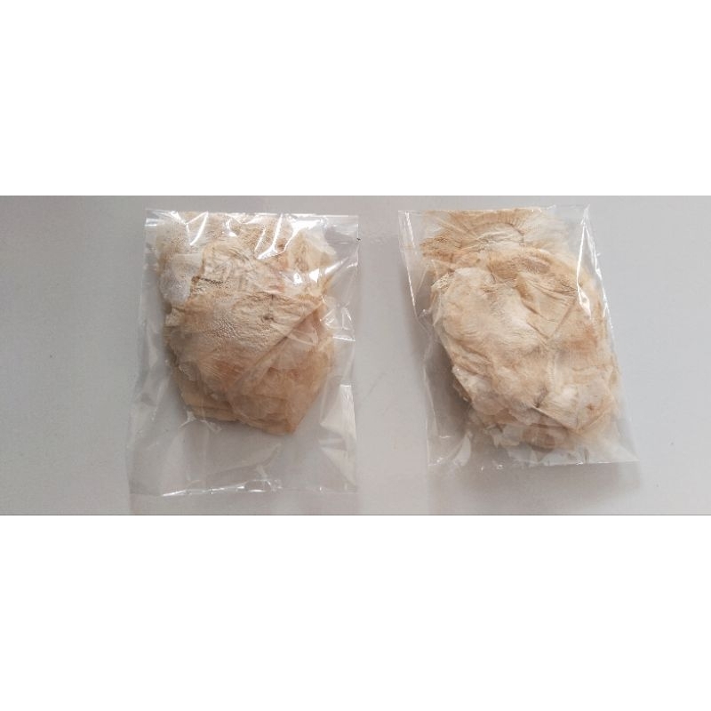 bibit pohon lanang untuk ecoprint