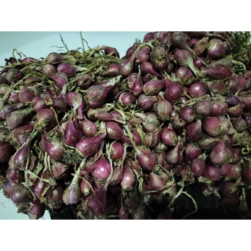 

Bawang merah asli brebes