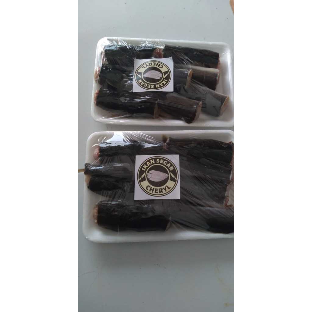 

Ikan Segar Lele