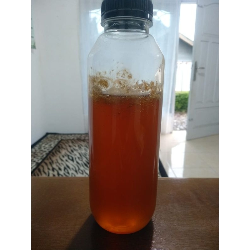 

Madu Dorsata warna merah 1 kg