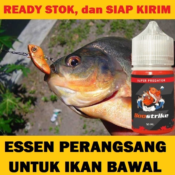 BOOSTRIKE ESSEN PERANGSANG IKAN BAWAL PALING JITU