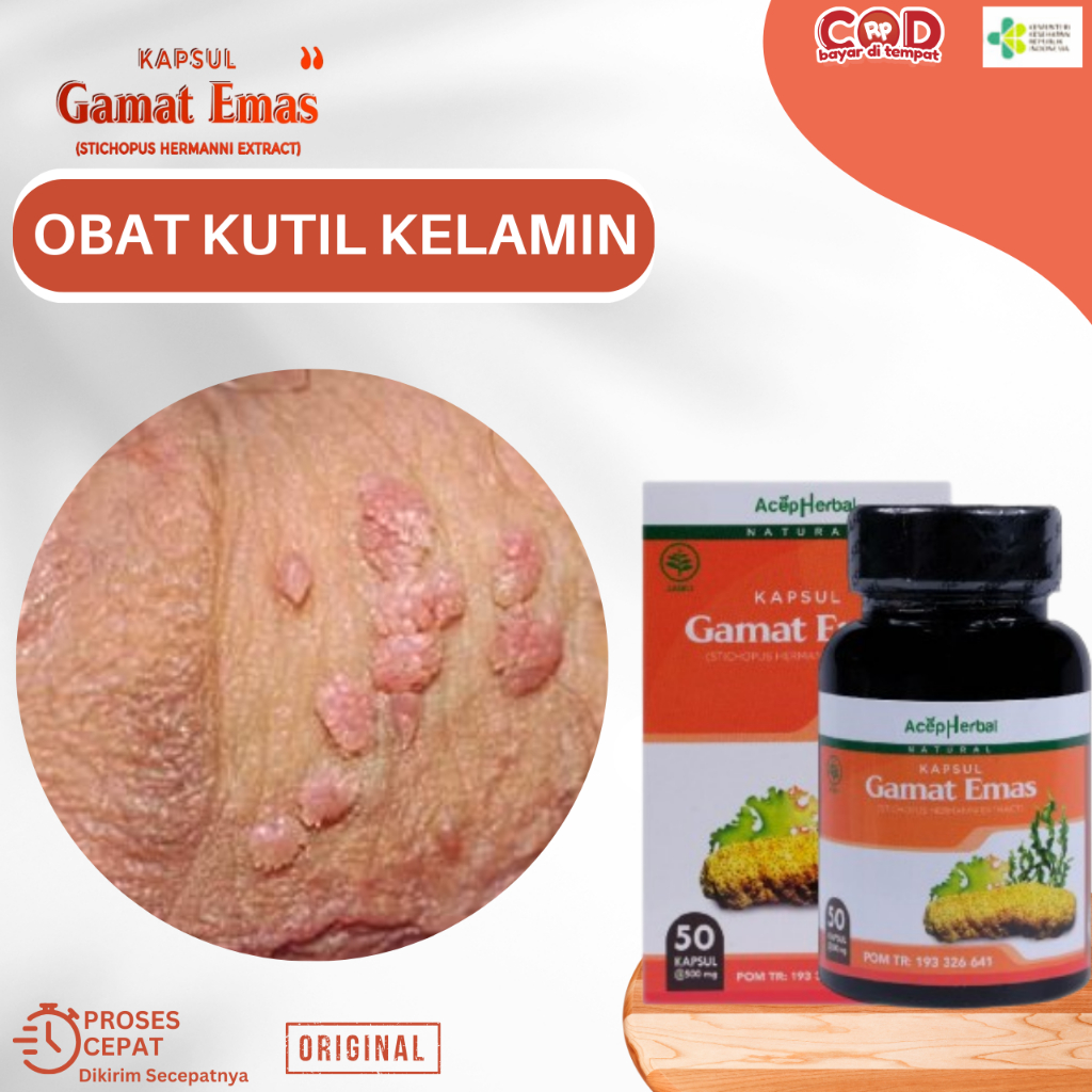 Obat Kutil Kelamin Pria, Obat Kutil Kelamin HPV, Obat Daging Tumbuh Di Penis, Obat Benjolan Kecil Pa