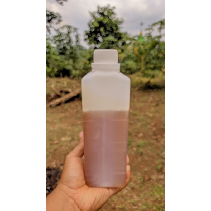 

madu rambutan ORI 500 gram