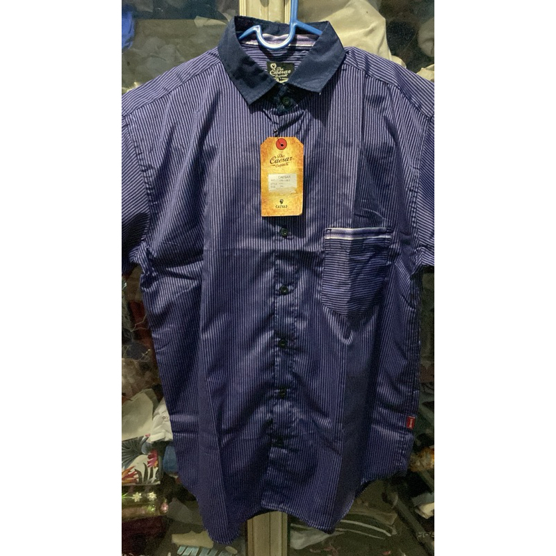 Kemeja Garis Garis Purple The Caesar