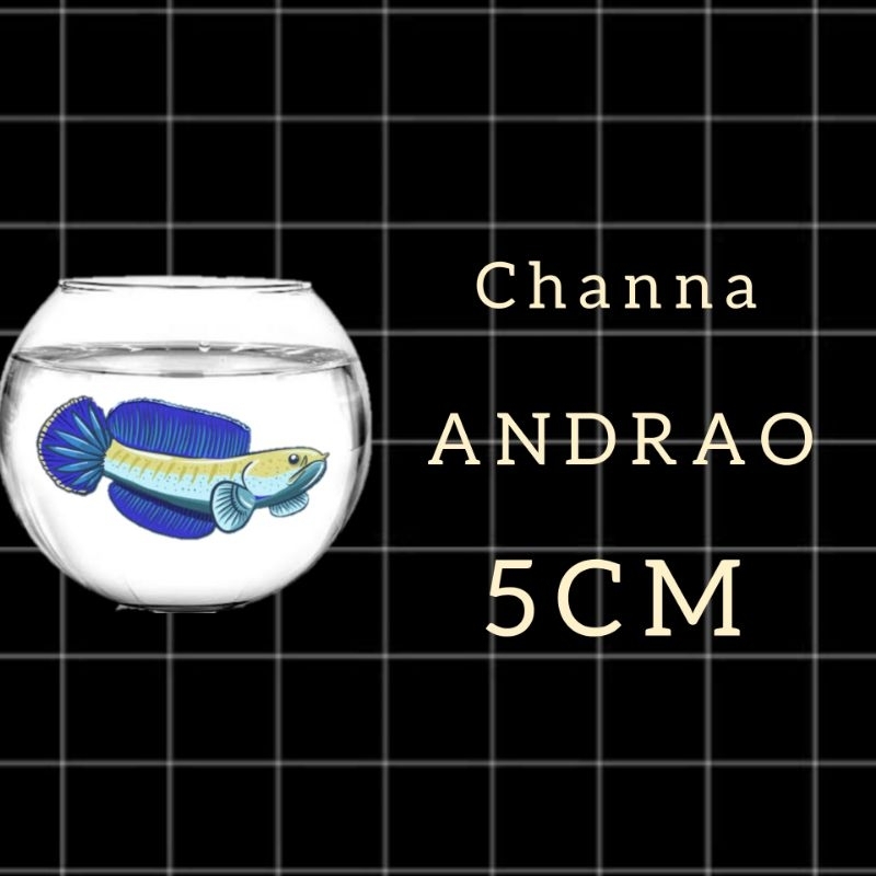 Sticker Channa Andrao 5CM