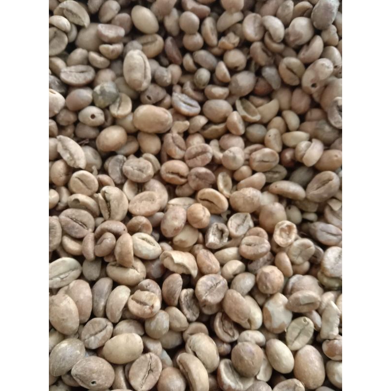 

Green Beans Robusta Asalan / Biji Kopi Mentah