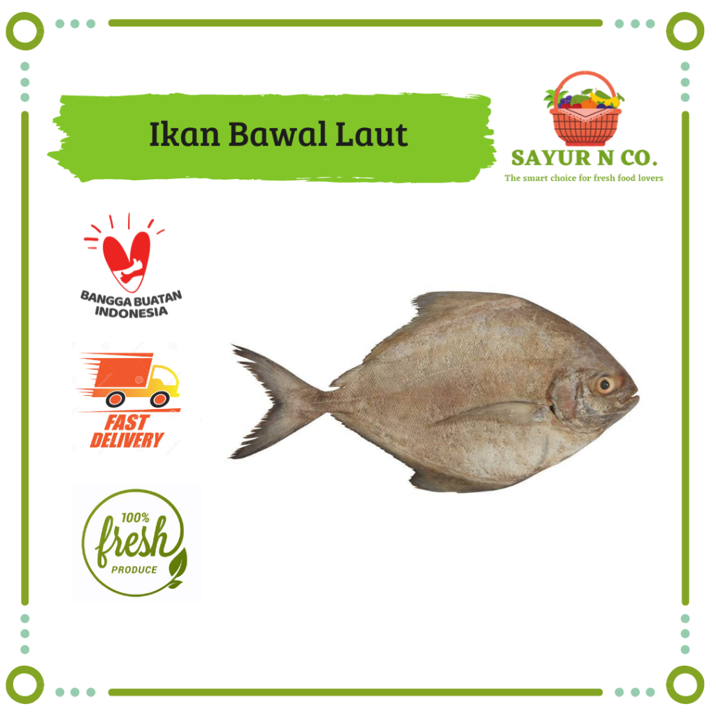 

Ikan Bawal Laut Frozen 500gr | Sayur N Co Bekasi