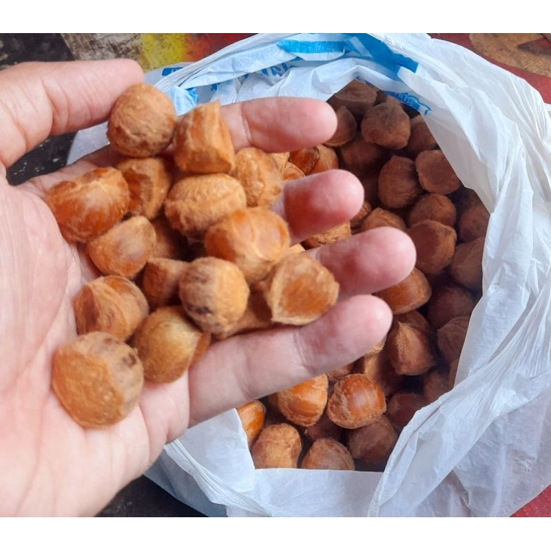 

kacang chestnut kastanye ukuran kecil mentah 1kg