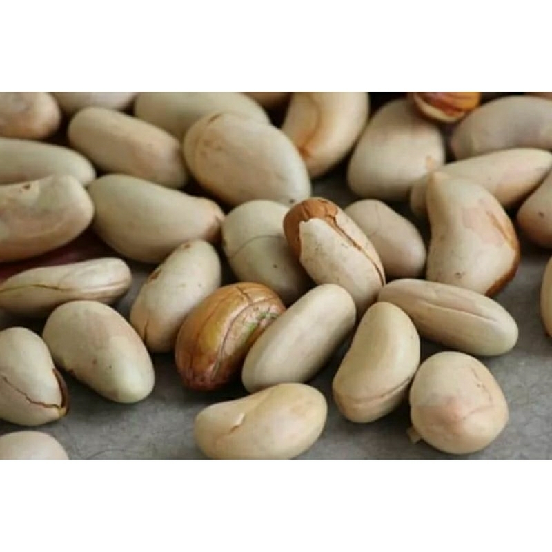 

biji nangka