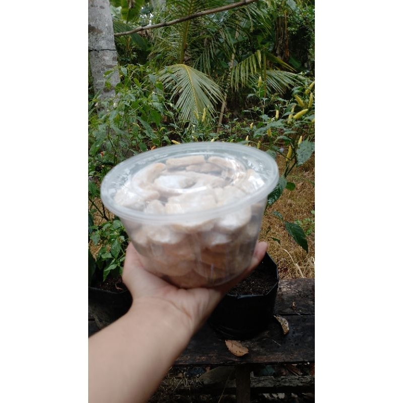 

Kuker putri salju/Lebaran