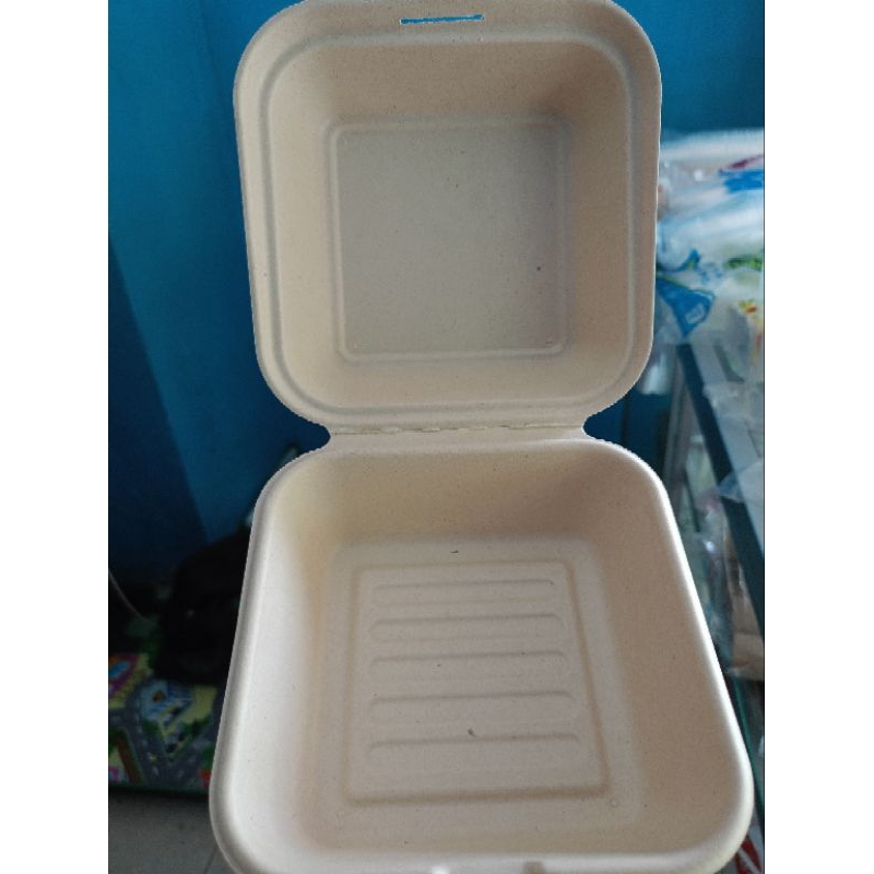 Bagasse bento cake box
