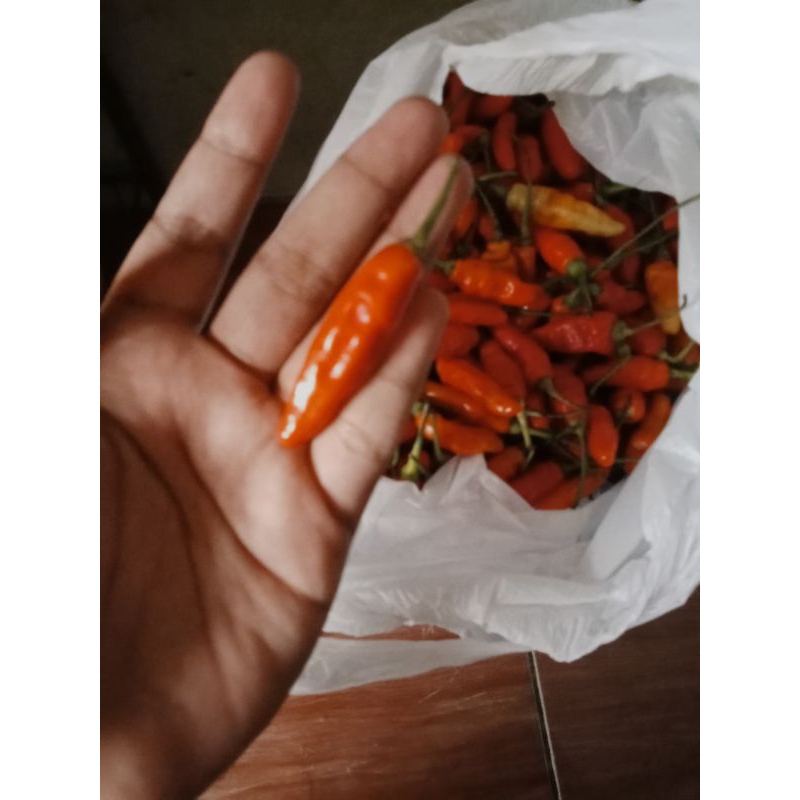 

cabai rawit merah fresh