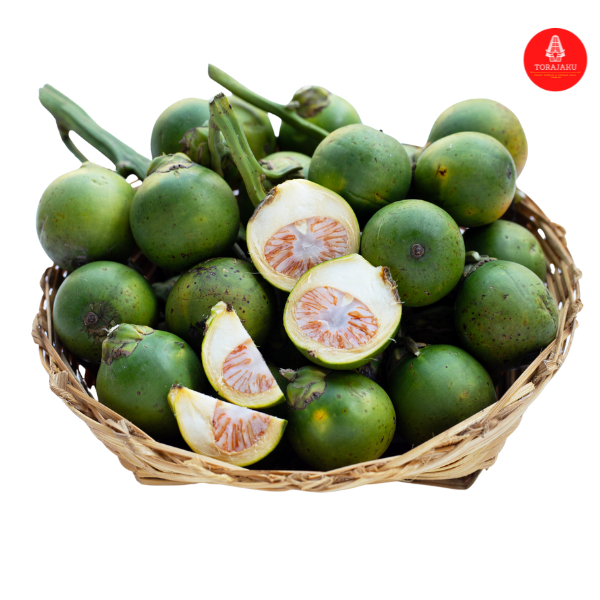 

TORAJAKU Buah Pinang Bagus dan Murah 10 Biji