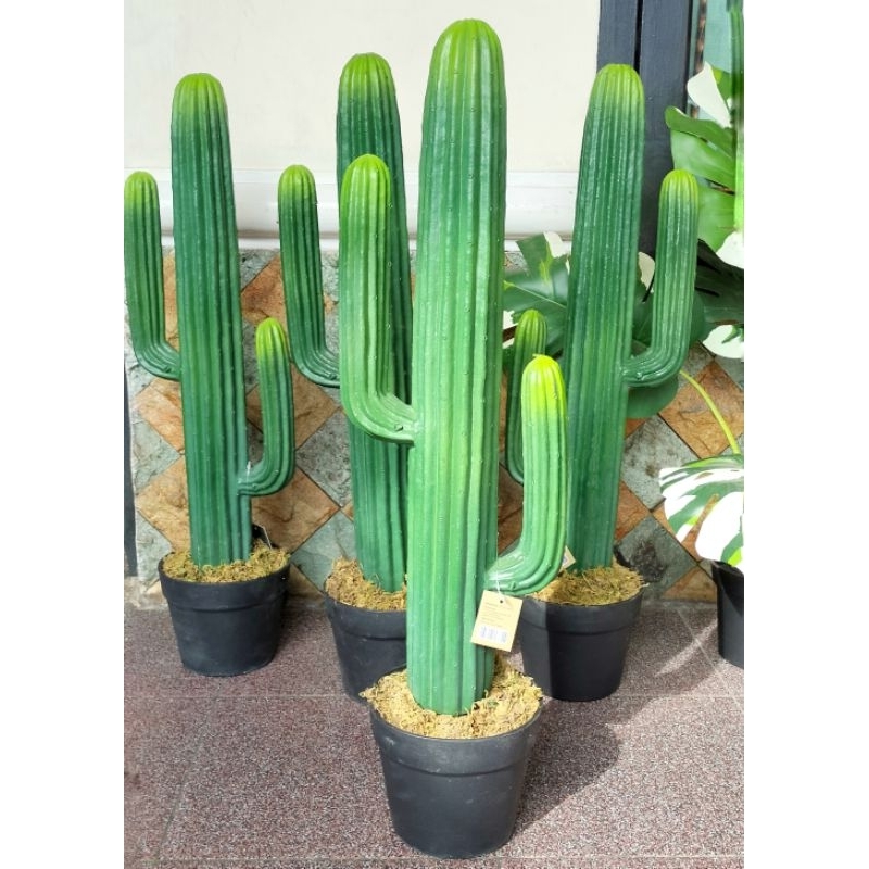 Kaktus artifisial. Kaktus koboi artifisial besar. articicial cactus. Kaktus besar palsu