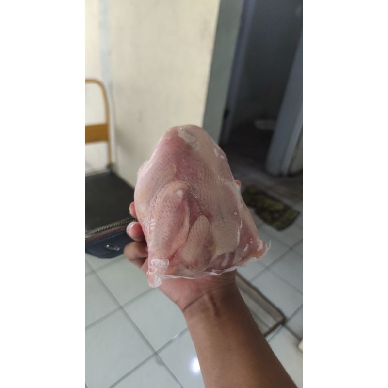 

FROZEN HALAL | AYAM UTUH 799Gr