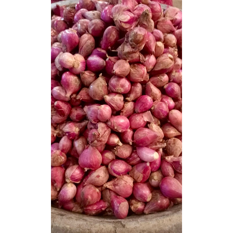 

Bawang Merah Pilihan 500gr