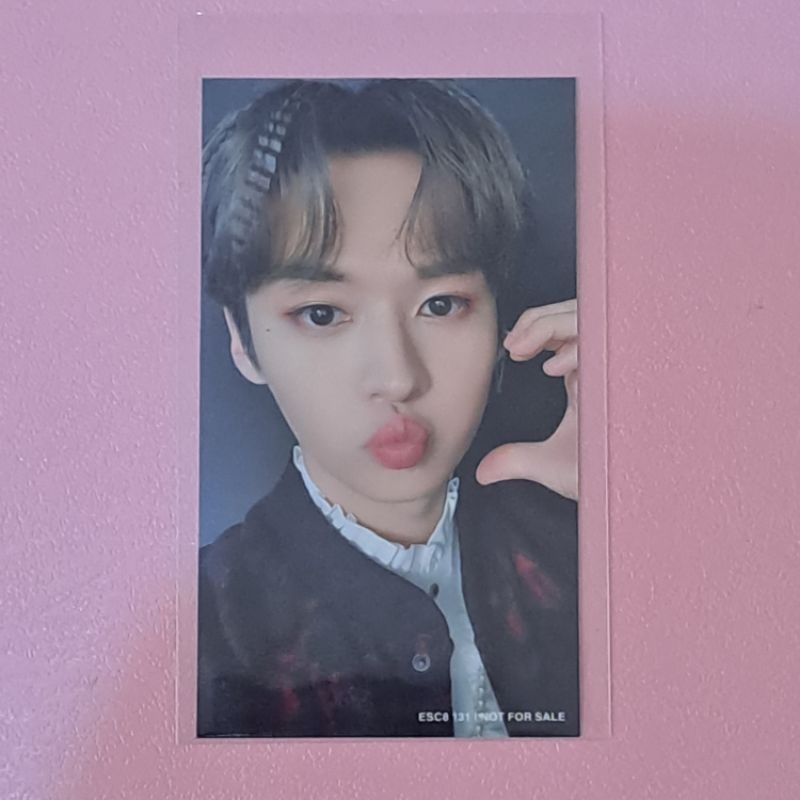 Stray Kids - SKZ - The Sound Japan Fanclub Photocard Lee Know Lino Leeknow PC