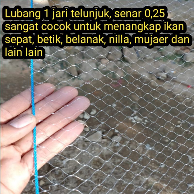 Tangkul / jaring anco ukuran 3×3 meter perangkap ikan