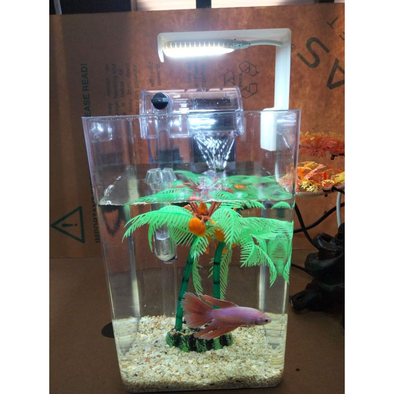 akuarium akrilik 2L harga termurah