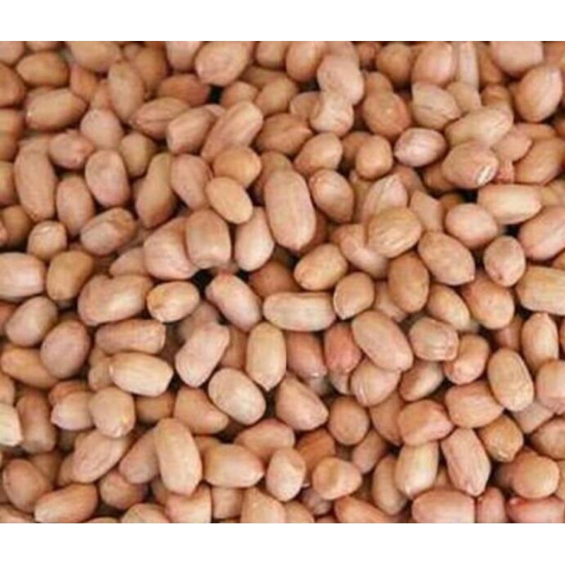 

Kacang Tanah @1kg