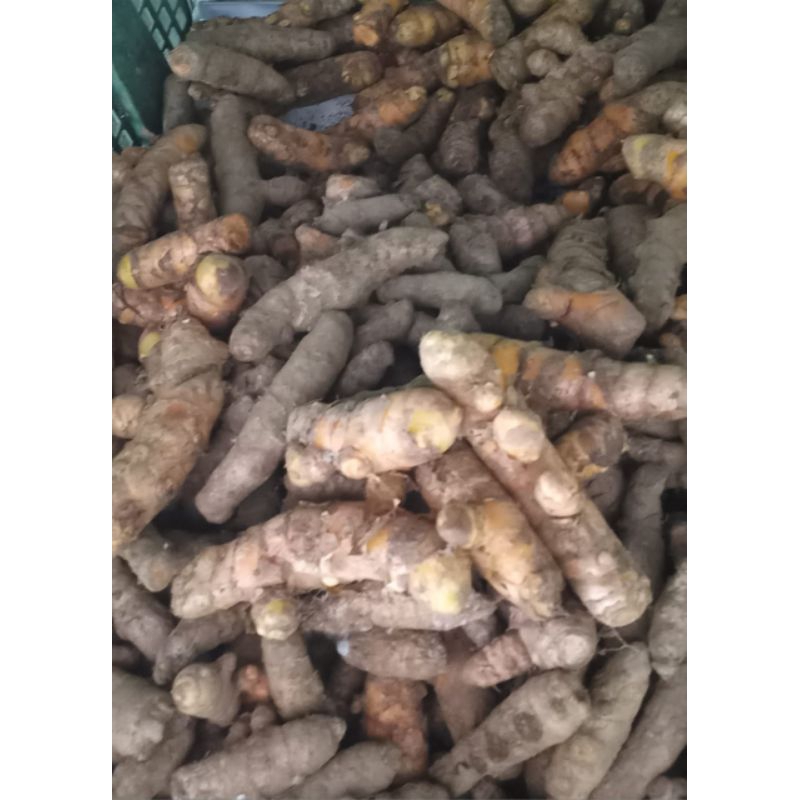 

kunyit 250 gr