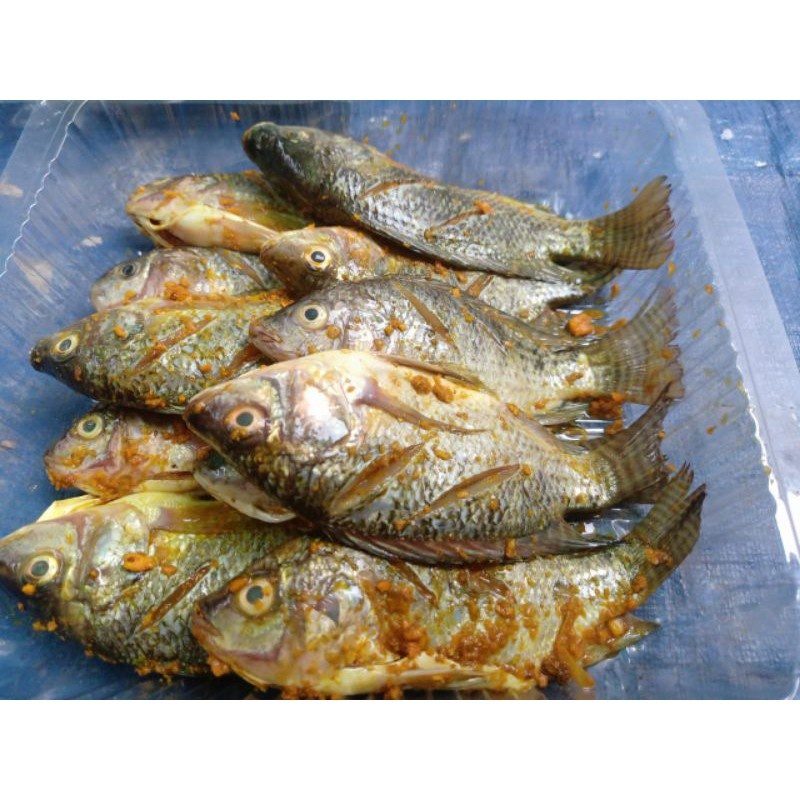 

ikan mujaer bumbu kuning 500gr / ikan mujair bumbu kuning / ikan marinasi