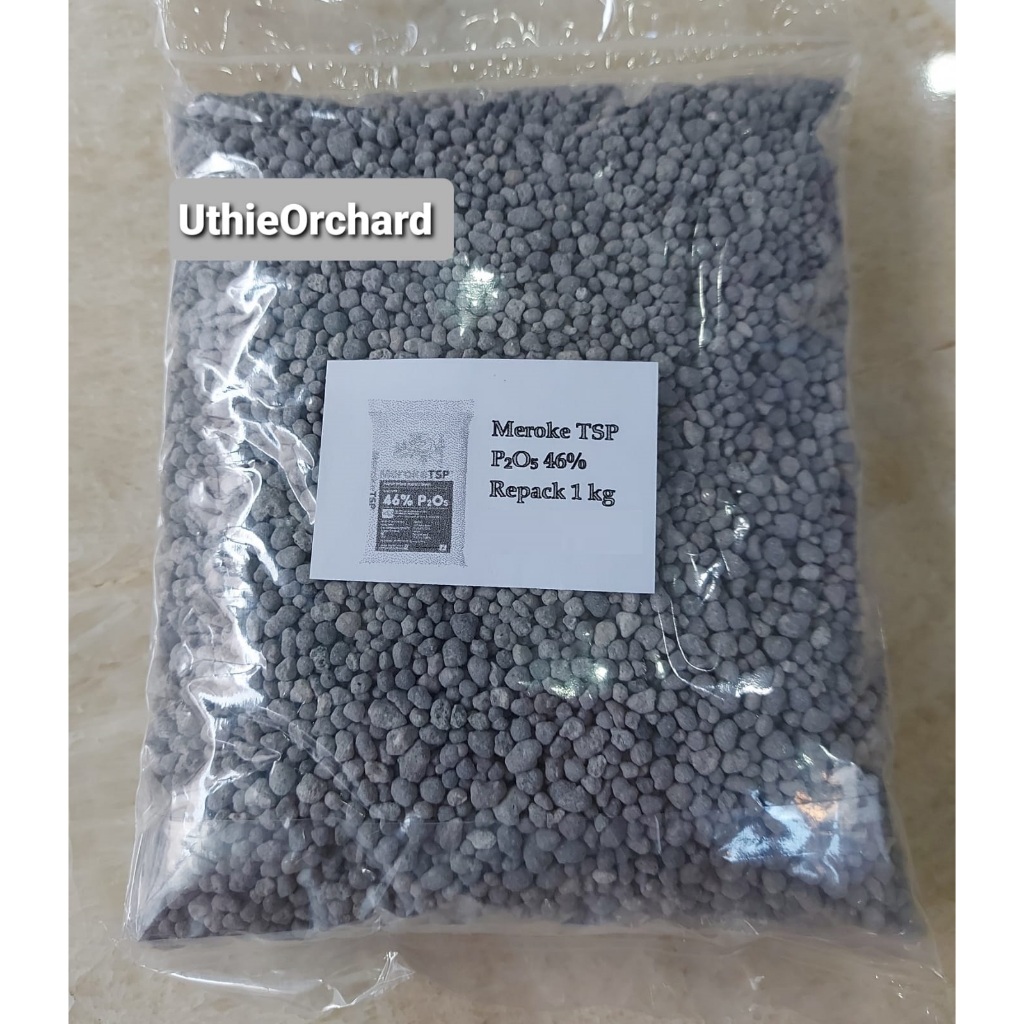 Meroke TSP (MerokeTSP) Pupuk Tripel Super Fosfat Kemasan Repack 1 kg