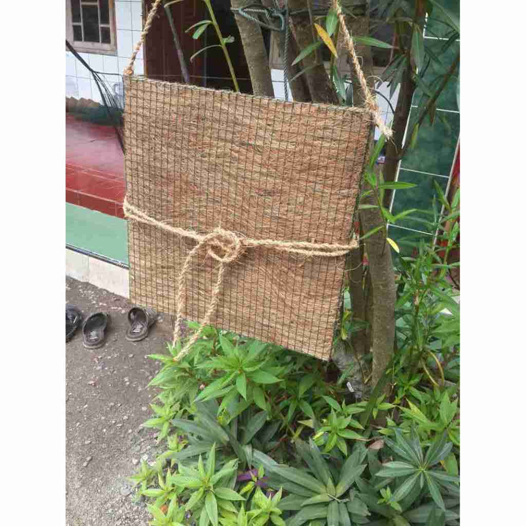 TERMURAH.. papan media tempel anggrek / tanduk rusa sabut kelapa jumbo 40×40 cm