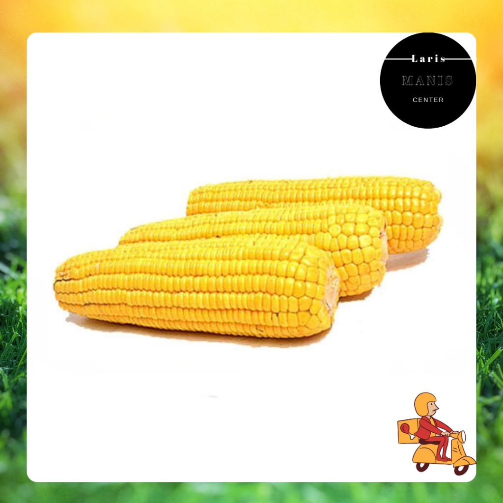 

KIRIM INSTAN Jagung Manis Kupas 1kg- BANDUNG