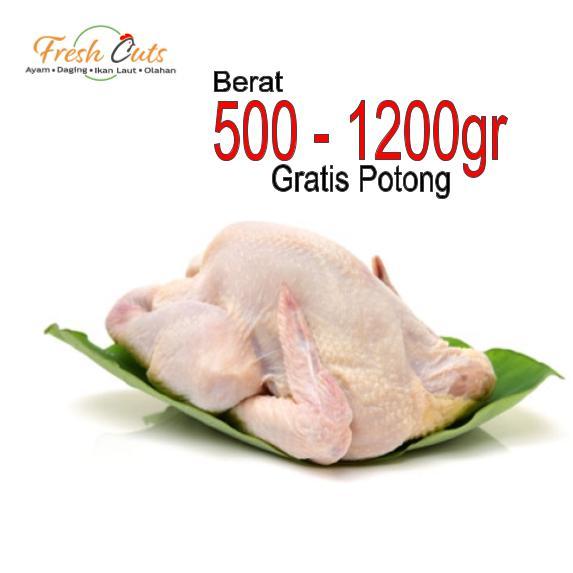 

Ayam Karkas Broiler Semua Ukuran Ayam Potong Utuh Segar Beku 1 Ekor 1Kg 1 Kg Fresh cuts Termurah