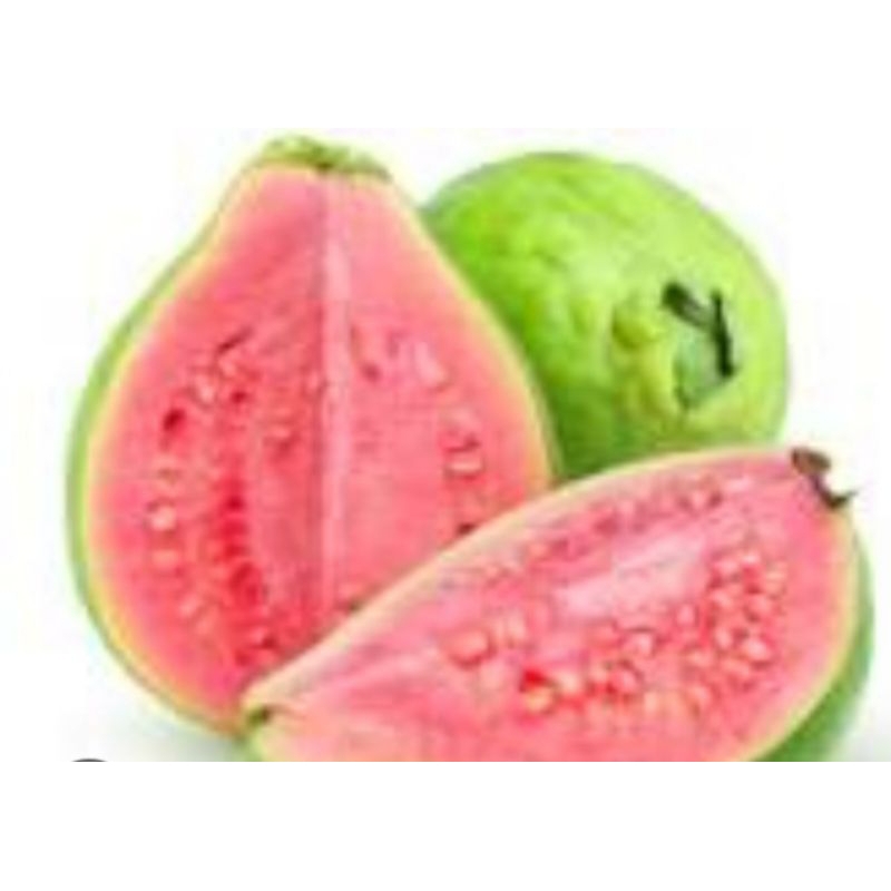 

jambu merah manis seger jambu biji