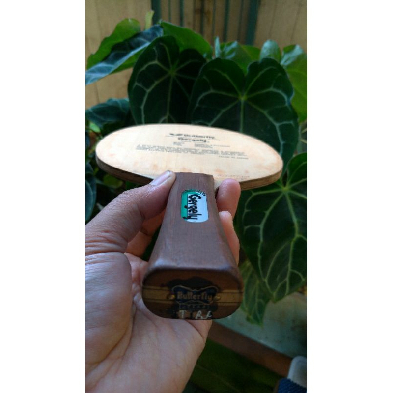 Butterfly Gergely Seri H Thn 2007 Kupu Hitam