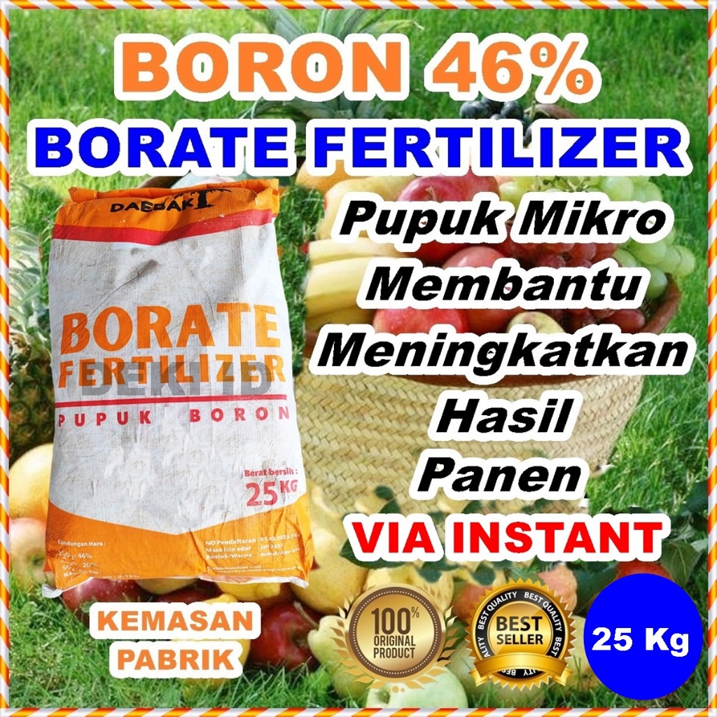Boron Daebak 25 Kg Pupuk Borate 46 Via Instan Kemasan Pabrik Nutrisi Mikro Tanaman Fertilizer Anti Rontok Bunga Buah Sawit Anggur Cabe
