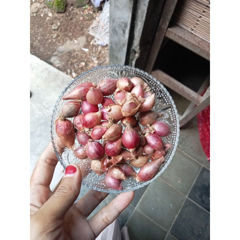 

Bawang Merah ayakan 1kg