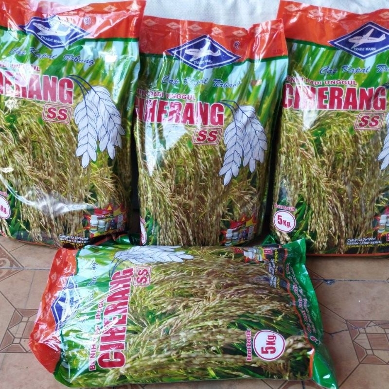 Ciherang SS cap Kapal Terbang