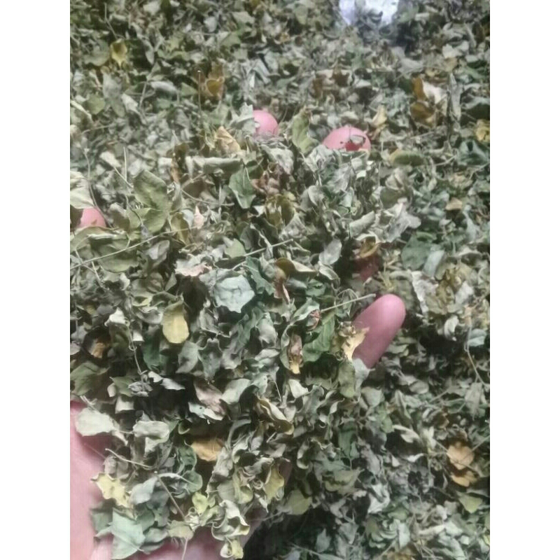 

daun kelor kering (home made)