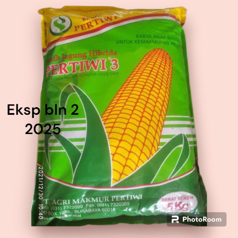 BENIH PERTIWI 3 5KG BENIH JAGUNG PROMO DIJAMIN ORI EXPIRED 2 2025